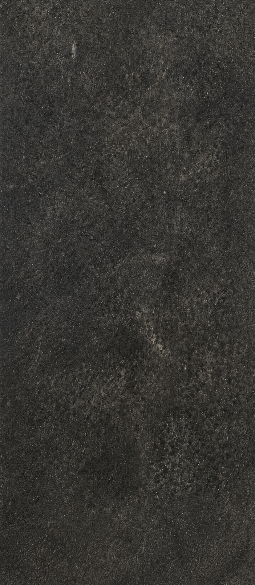 Shadow Black SPC-wandpanelen 106