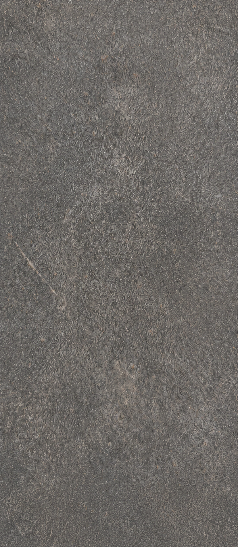 Brown Rock SPC-wandpanelen 105