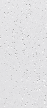 Embossed White Spc wandpanelen 204