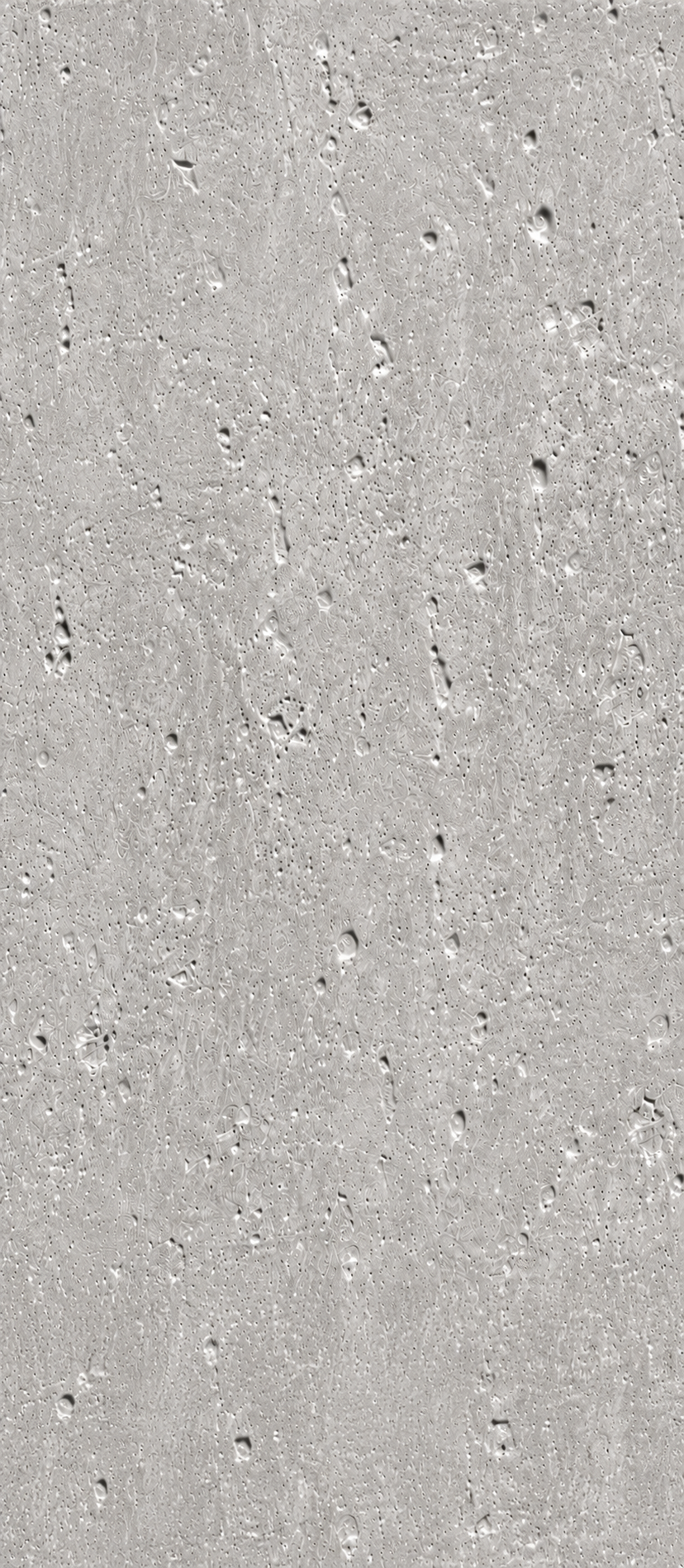 Embossed Soft Beton Spc wandpanelen 203