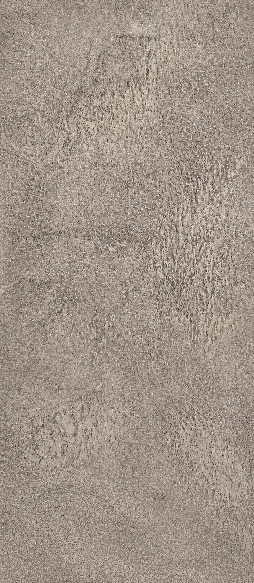 Taupe Stone SPC-wandpanelen 102